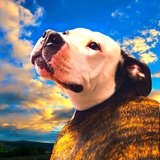Entry image for Eleanor