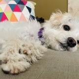 Entry image for Molly 