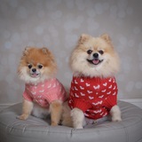 Entry image for Theodore Jackson & Piper Jolene