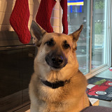 Entry image for Gary