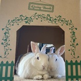 Entry image for Jimmy and Stanley