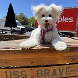 Entry image for MacKenzie
