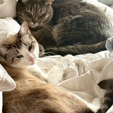 Entry image for Yuki and Remi