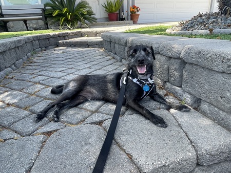 Entry image for Bossun. Clicking this image will show a larger photo