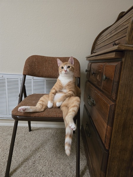 Entry image for Kai. Clicking this image will show a larger photo