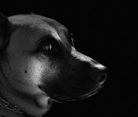 Entry image for River. Clicking this image will show a larger photo