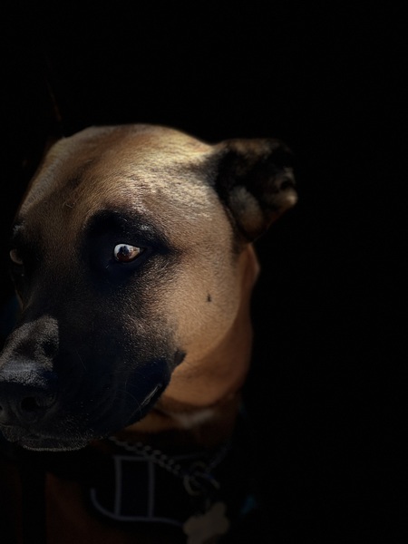 Entry image for River. Clicking this image will show a larger photo