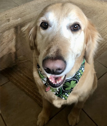 Entry image for Maggie. Clicking this image will show a larger photo