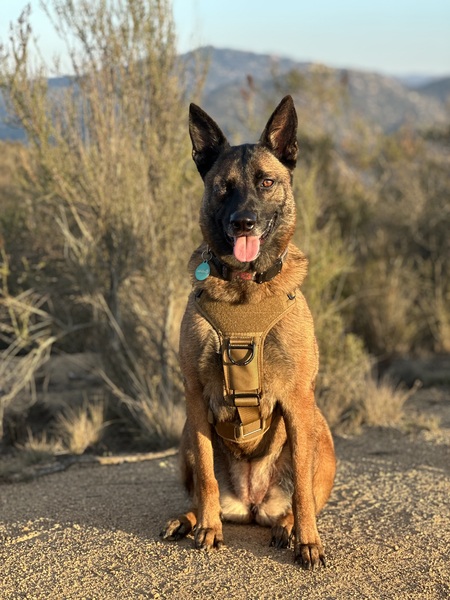 Entry image for Una. Clicking this image will show a larger photo