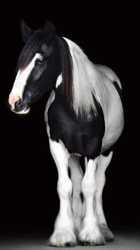 Entry image for WHISKEY LULLABY . Clicking this image will show a larger photo