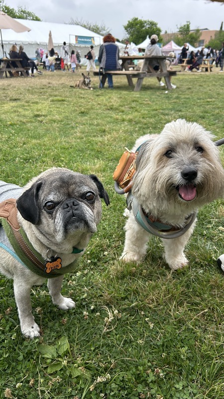 Entry image for Frank and Logan. Clicking this image will show a larger photo