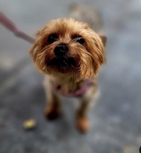 Entry image for Mila. Clicking this image will show a larger photo