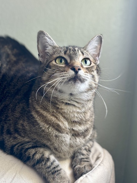 Entry image for MIMI. Clicking this image will show a larger photo