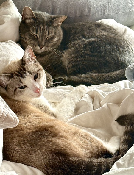 Entry image for Yuki and Remi. Clicking this image will show a larger photo