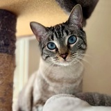 Entry image for Audrey