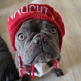 Entry image for Chevy