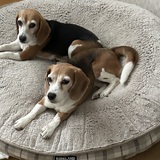 Entry image for Katie and Ginny