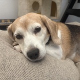 Entry image for Margie