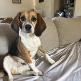 Entry image for Macmillan