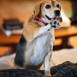 Entry image for Gina