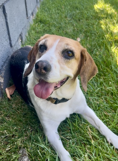 Entry image for Mei. Clicking this image will show a larger photo