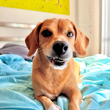 Entry image for Chase. Clicking this image will show a larger photo