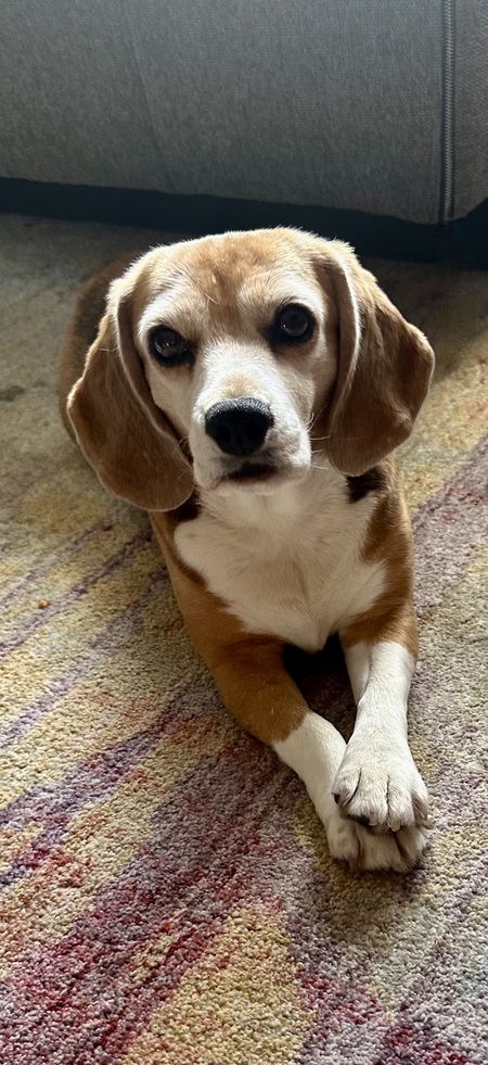 Entry image for Wilma. Clicking this image will show a larger photo