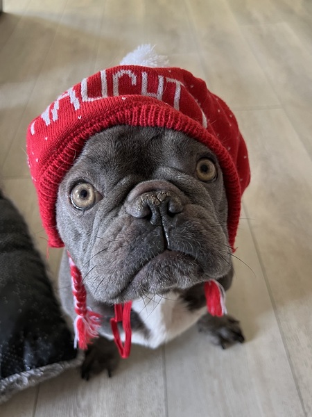 Entry image for Chevy. Clicking this image will show a larger photo