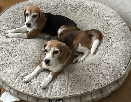 Entry image for Katie and Ginny. Clicking this image will show a larger photo