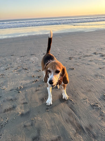 Entry image for Morrison (Mo). Clicking this image will show a larger photo