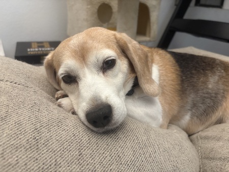 Entry image for Margie. Clicking this image will show a larger photo