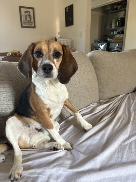 Entry image for Macmillan. Clicking this image will show a larger photo