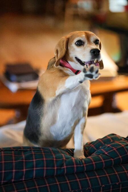 Entry image for Gina. Clicking this image will show a larger photo