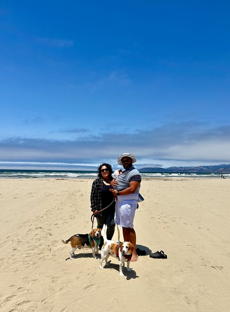 Entry image for Zeus. Clicking this image will show a larger photo