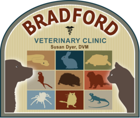 Logo for Paws & Pints: Capture Your Pet's Best Moment!