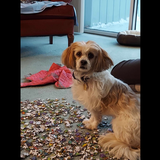 Entry image for John