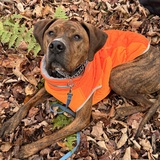 Entry image for Weston