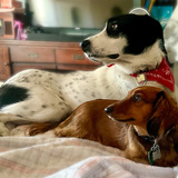 Entry image for Ollie Lucy