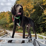 Entry image for Walker