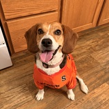 Entry image for Paisley Mae 