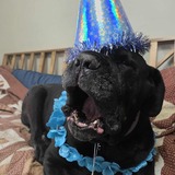 Entry image for Ruger