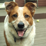 Entry image for Rezzi