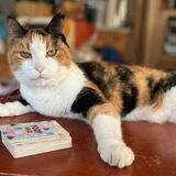 Entry image for Hilly