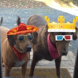 Entry image for Jessi Jean and Buddy