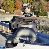 Entry image for Mokie