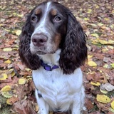 Entry image for Kaylah