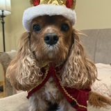 Entry image for Ruben