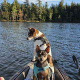 Entry image for Teddy and Maggie