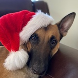 Entry image for Nero