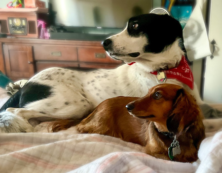 Entry image for Ollie Lucy. Clicking this image will show a larger photo